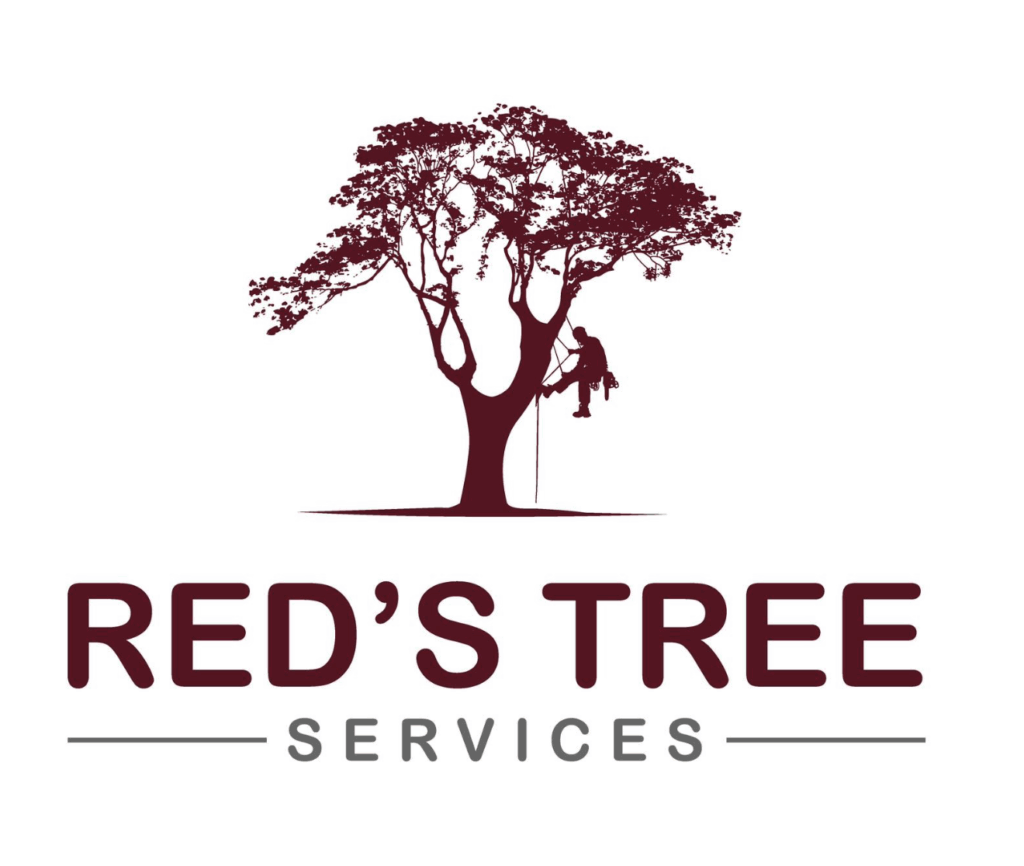 Tree Services Saskatoon, SK
