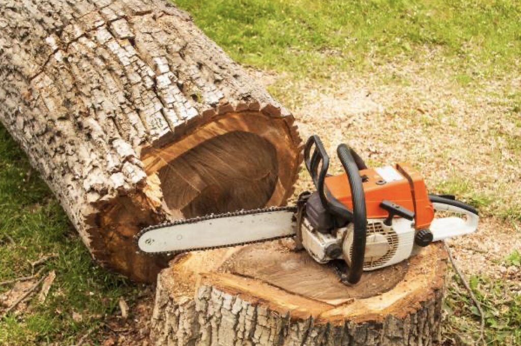 Tree Services Company Saskatoon, SK